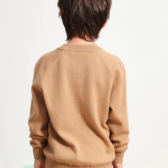 COMOBOCA 100% Wool Kids' Round Neck Intarsia Sweater